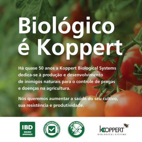 biologico_e_koppert