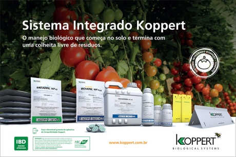 sistema_integrado_koppert_tomate